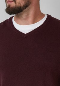 Burgunderfarbener Pullover mit V-Ausschnitt aus weichem Strickstoff, über einem weißen Rundhalsausschnitt-Shirt getragen; dezentes Logo-Detail auf der Brust.