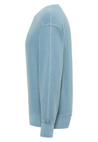 Sweat-shirt bleu clair en mélange de coton doux, avec un col rond, des manches longues, des poignets en côte et un logo discret en relief à l'avant.