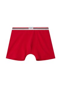 Röda boxershorts med vit midjeresår med svarta ränder och en logotags i mitten. Tillverkade av ett mjukt stretchmaterial.
