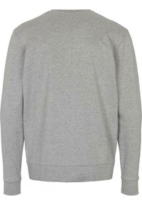 Sudadera gris hecha de tela suave; cuenta con mangas largas, cuello redondo y puños y dobladillo acanalados. Color sólido y simple sin patrones visibles.