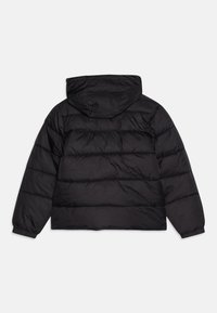 Svart dunjakke, med hette, med diamant-quilting, elastiske mansjetter og løs passform. Glatt, blankt stoff, bakansikt.