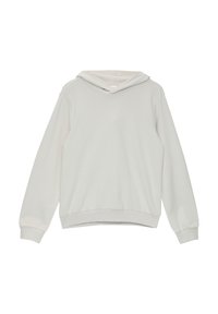 Lichtgrijze hoodie met een relaxte pasvorm, ribgebreide manchetten en onderrand, en een zachte binnenkant. Geen patronen of graphics aanwezig.