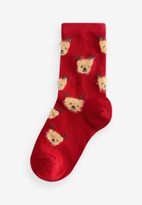 Next RICH CHRISTMAS  5 PACK  - REGULAR FIT - Ponožky - red cream bear