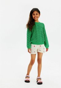 The New TNJIVA  - Pulover - bright green
