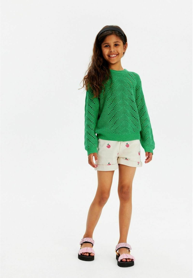 The New TNJIVA - Pulover - bright green