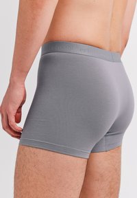Gray boxer briefs made of soft fabric, featuring a wide elastic waistband with embossed branding, fitted cut, and smooth texture.