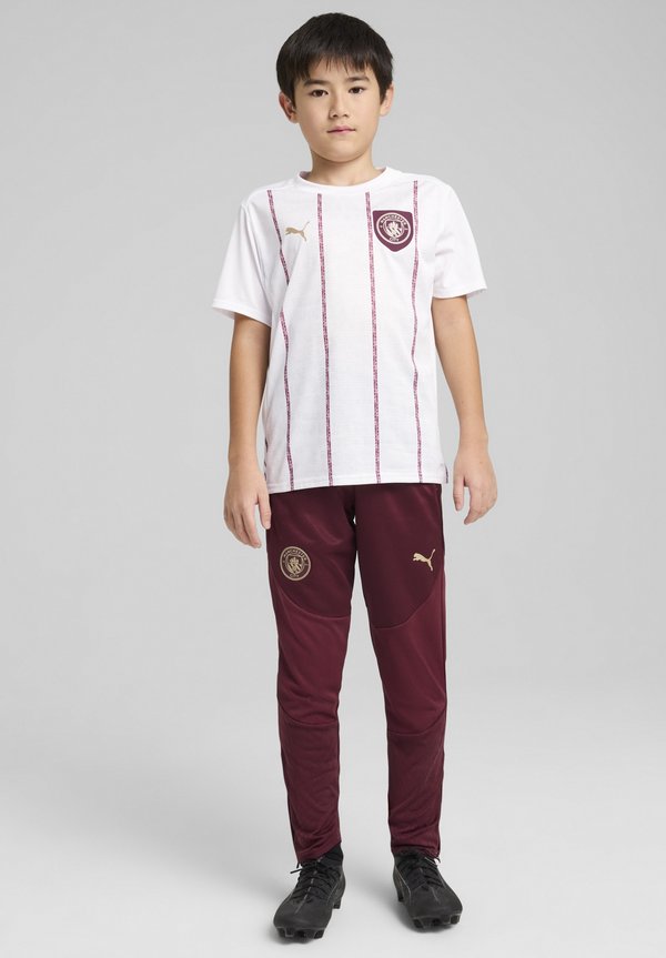 MANCHESTER CITY YOUTH - Vereinsmannschaften - dark jasper