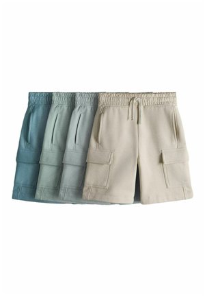 Štyri páry flísových cargo kraťasov v tlmených odtieňoch modrej, zelenej, sivej a béžovej so elastickými pásmi a vreckami, usporiadané prekrývajúce sa na bielom pozadí.