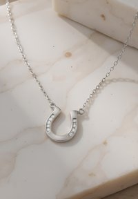 Silver hästsko hänge halsband med klara ädelstenar, på en delikat silverslinga, vilande på en slät marmoryta.