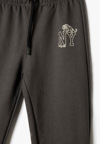 Ciemnoszare dresy wykonane z mieszanki bawełny, z elastycznym pasem, sznurkiem ściągającym oraz nadrukowanym logo z tygrysem i napisem "NY".
