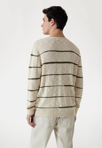 Pull en maille beige avec des rayures horizontales vert foncé, col rond et poignets en bord-côte. Porté avec un pantalon de couleur claire, vu de dos.