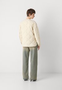 Calvin Klein Jeans INSULATED LINER JACKET - Winterjas - fog