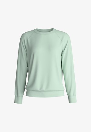 Sweat-shirt vert clair à col rond avec manches longues raglan et poignets et ourlet côtelés, présenté sur un fond blanc.