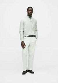 Gestreiftes grünes Hemd mit Knopfleiste und langen Ärmeln, kombiniert mit hellen Hosen und dunklen Schuhen. Einfaches Design, neutrale Farben und maßgeschneiderte Passform.