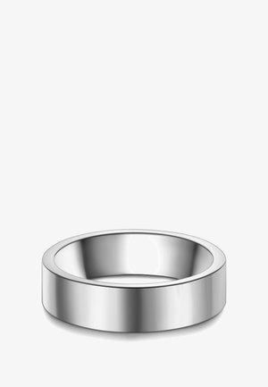 Rustfrit stål runde skål med en glat, reflekterende overflade og en bred, flad kant. Ingen synlige mønstre eller accenter.