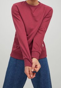 Felpa marrone scuro con colletto rotondo, polsini e orlo a costine. Il materiale sembra morbido e liscio. Il modello indossa pantaloni in denim blu.