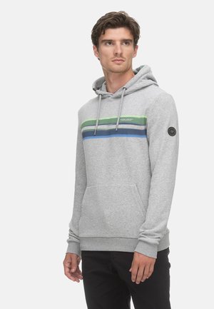 Ragwear HAKE MIT KÄNGURUTASCHE - Kapuzenpullover - grau