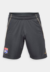 Shorts de sport gris avec une taille élastique, accents dorés sur les côtés et un patch logo représentant un lion et du texte sur la jambe gauche.