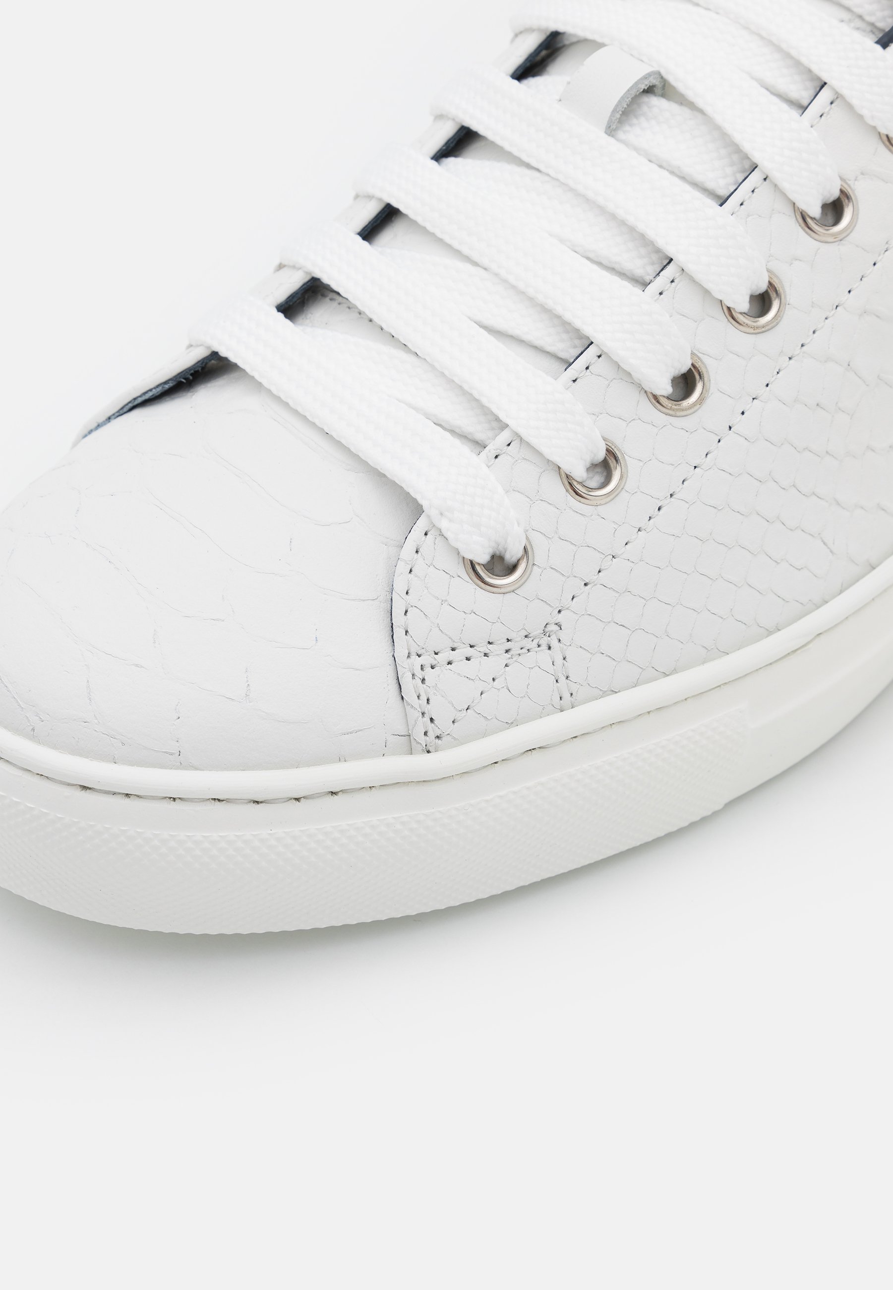 Roberto Cavalli Sneakers laag - white/wit - Zalando.nl