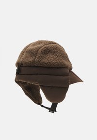 The North Face CRAGMONT FLEECE TRAPPER - Pipo - smokey brown