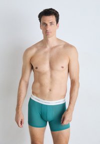 Teal katoenen boxershorts met een witte tailleband met het "Calvin Klein" logo. Model staat met blote bovenlichaam tegen een effen achtergrond.