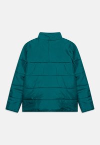 Tirkīza krāsā pūkaina jaka ar augstu apkakli, ar horizontāliem izšuvumiem un gludu, spīdīgu materiālu. Nav redzamu detaļu vai rakstu.