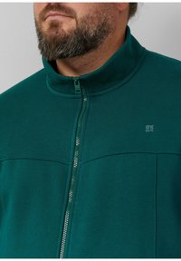 Man met een grijs wordende baard, gekleed in een teal kleurige zip-up jack met een hoge kraag en een klein merlogo op de borst.