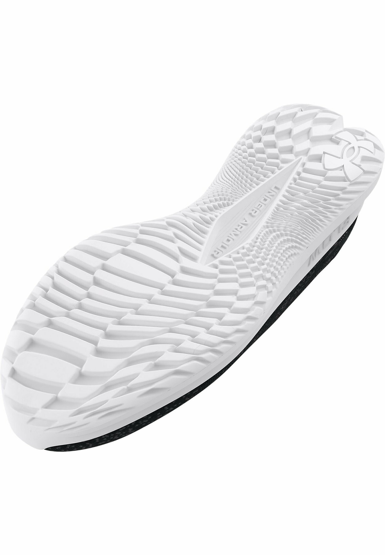 TECHNICAL PERFORMA VELOCITI