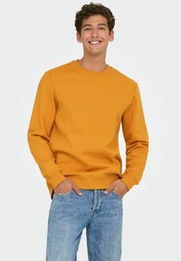 Mosterdgele sweatshirt met een ronde hals, lange mouwen en geribde manchetten, gecombineerd met vervaagde blauwe jeans. Zacht materiaal met een ontspannen pasvorm.