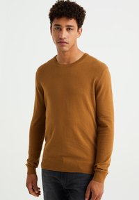 WE Fashion THE EVERYDAY - Džemperis - brown