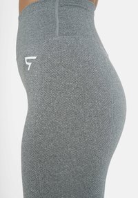 SQUATPROOF RETAINED SEAMLESS HIGH WAIST  - Tajice - grey