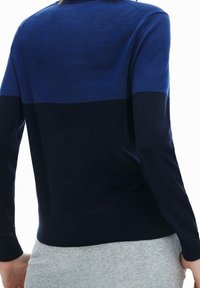 Pull en maille avec des blocs de couleur bleu foncé et marine, doté de manches longues et d'un col rond. Texture douce avec poignets et ourlet côtelés.