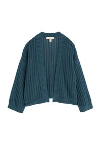 TINNERS WAY - Neuletakki - dusky jade - knit melange dusky jade