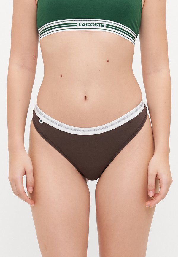 UNDERWEAR THONG 3 PACK - Thong3