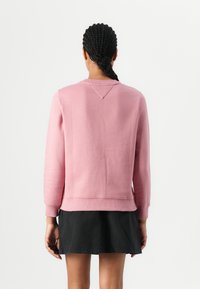 Pink sweatshirt with long sleeves, ribbed cuffs and hem, V-shaped detail at the back, paired with a black skirt, set against a white background.