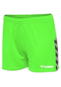 Hummel HMLAUTHENTIC  - Träningsshorts - green gecko