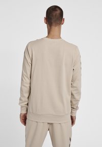 Felpa in cotone beige con maniche lunghe, collo a giro e polsini a costine. Presenta strisce marroni scure lungo le maniche. Vestibilità casual.