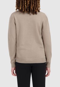 Ballin REGULAR FIT HALF ZIP - Strickpullover - taupe