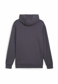 Sudadera gris con capucha ajustable, mangas largas y un corte relajado. Fabricada en una tela suave con una textura lisa.