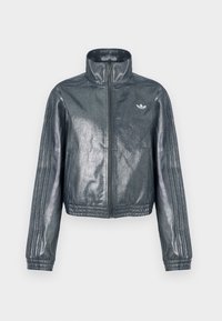 Metalik siva jakna na patentni zatvarač s visokim okovratnikom, rebrastim manšetama i tri pruge na rukavima. Na prsima ima mali amblem.