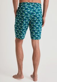 Zwemshorts met een turquoise achtergrond en een herhaald patroon van witte en groene hondensilhouetten. Gemaakt van een lichtgewicht stof met een elastische tailleband.
