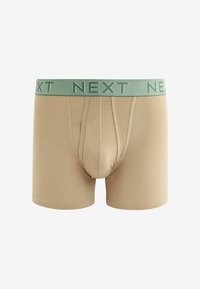 Next A FRONTS 10 PACK - Boxer alsónadrág - blue grey pink