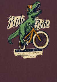 Beeld heeft een groene dinosaurus op een oranje fiets tegen een donkerbruine achtergrond. Tekst bevat "Fiets rijden" en speelse zinnen in verschillende lettertypen.