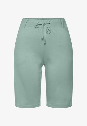 Lysegrønne knælange shorts med elastisk talje og snøre med metalender.