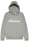 JERO - Džemperis su gobtuvu - grey marl