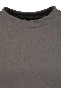 Grau Baumwoll-T-Shirt mit Rundhalsausschnitt, ausgestattet mit einem gerippten Kragen und glatter Textur. Etikett sichtbar unter dem Kragen mit dem Markennamen.