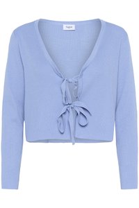 Lichtblauwe cropped cardigan met lange mouwen, ribbeltextuur, diepe V-hals en een sluiting met een strik aan de voorkant. Merkenlabel "Saint" zichtbaar bij de hals.