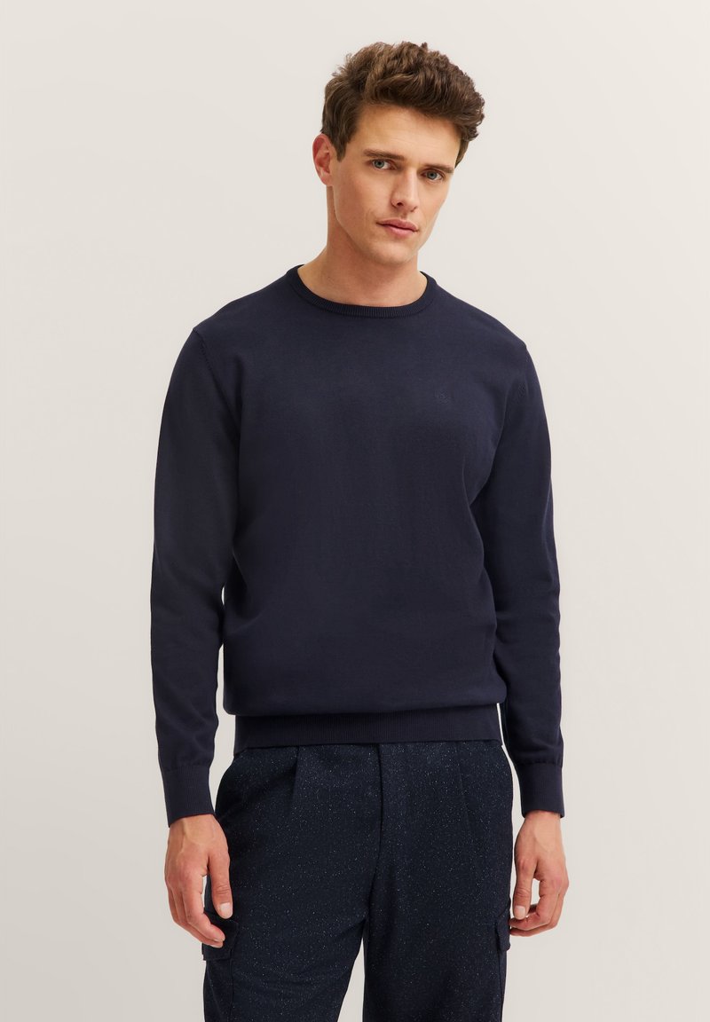 Junger Mann mit kurzen braunen Haaren, der einen marineblauen Rundhals-Pullover und dunkel gesprenkelte Hosen vor einem beigen Hintergrund trägt.