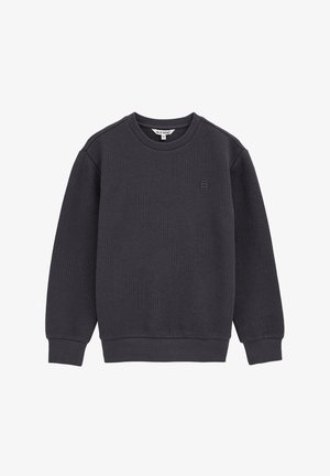 BLUE RIDGE - Športni pulover - grey