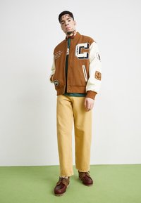 Smeđi i krem varsity jakna s izvezenim detaljima, zeleni majica, bež hlače i smeđe cipele. Jednostavna pozadina i zeleni pod.